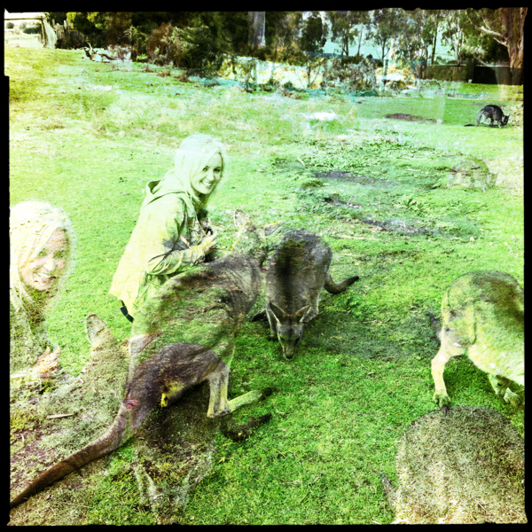 Hip 334550965.074430