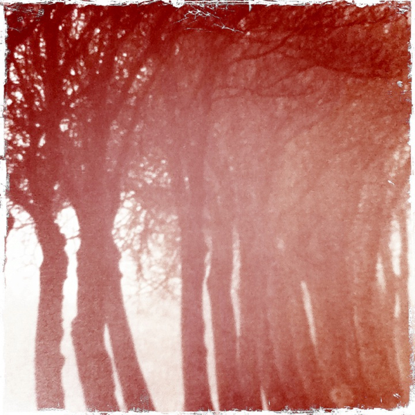 Hip 335089459.774576