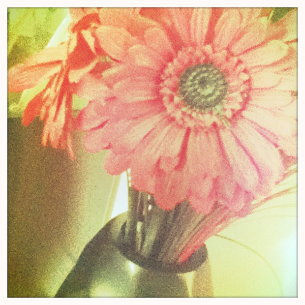 Hip 335089444.838392