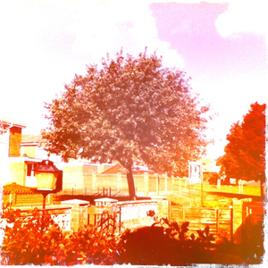 Hip 335090116.986445