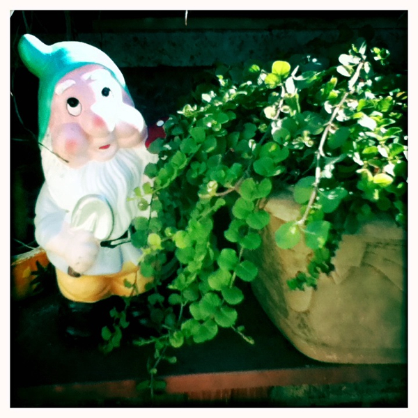 Hip 335090272.035916