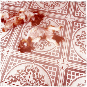 Hip 334549200.185604