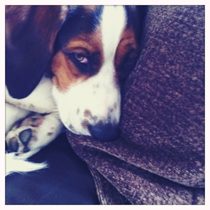 Hip 328018905.500422