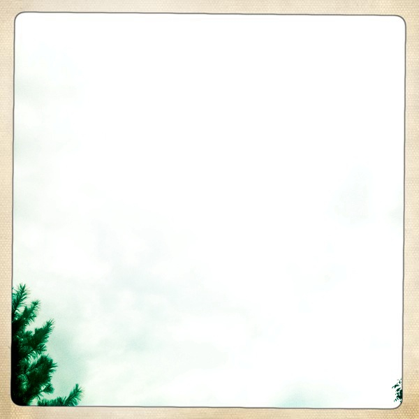 Hip 335099886.808199