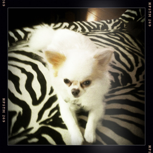 Hip 335101468.049775