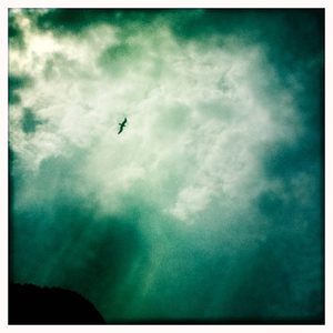 Hip 329481933.822245