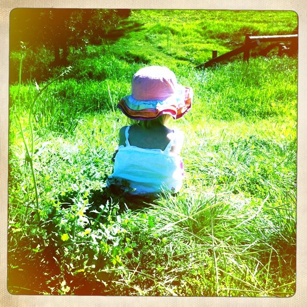 Hip 321771523.166694