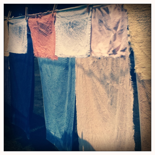 Hip 333658969.979259