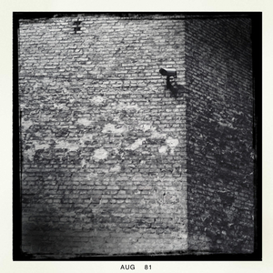 Hip 334505266.167616