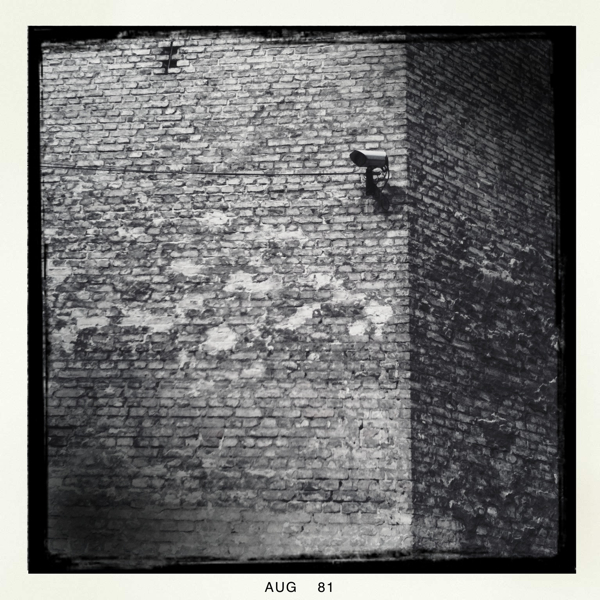 Hip 334505266.167616