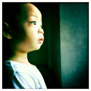 Hip 334212907.161252