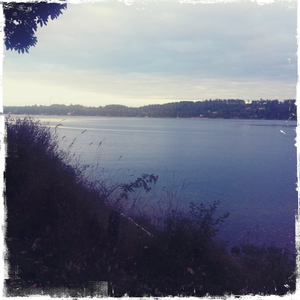 Hip 334982111.099105