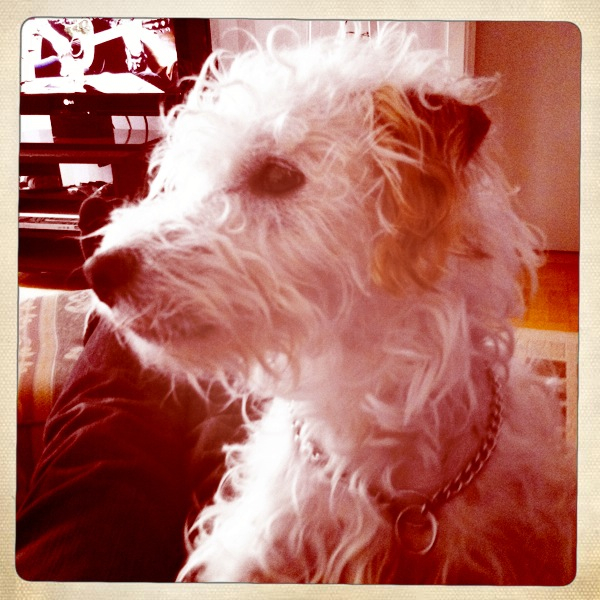 Hip 326742216.043410