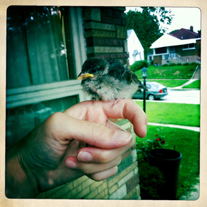 Hip 334530223.488513