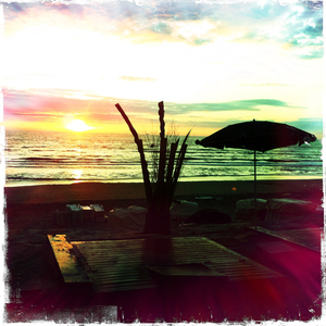 Hip 332883695.818184