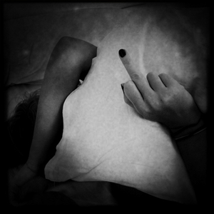 Hip 311393862.493519