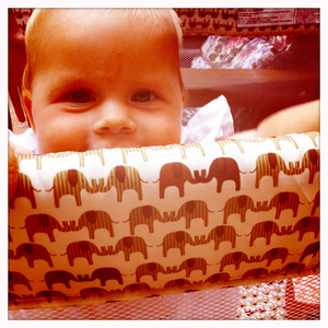 Hip 334870362.979832