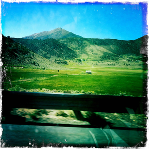 Hip 335122025.869544