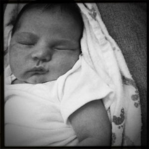 Hip 335115005.448509