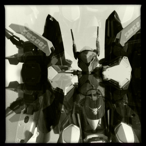 Hip 335123758.107556