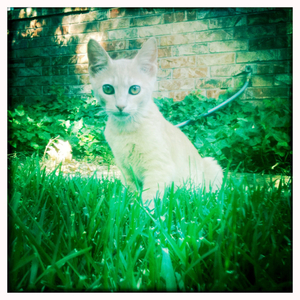 Hip 335050445.475873