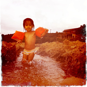 Hip 327988353.506066