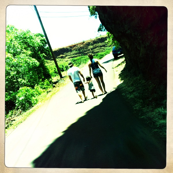 Hip 332982415.830501