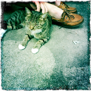 Hip 334603216.519838