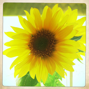 Hip 333837978.701715