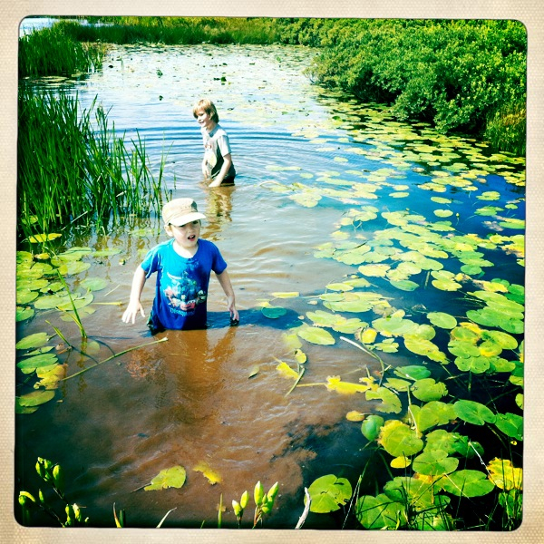 Hip 335109159.283463