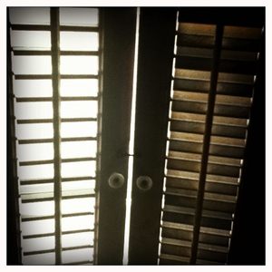 Hip 335132768.565963