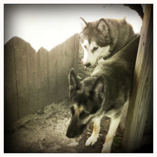 Hip 335133436.586405