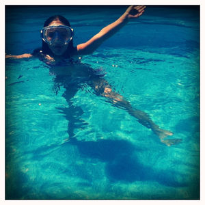 Hip 334863079.307757