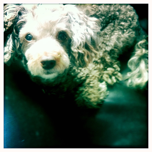 Hip 333820721.845807