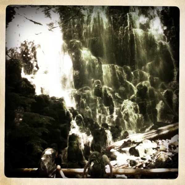 Hip 334959503.371916