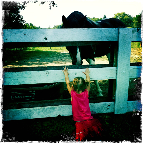 Hip 334955029.847426