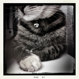 Hip 330691302.678090