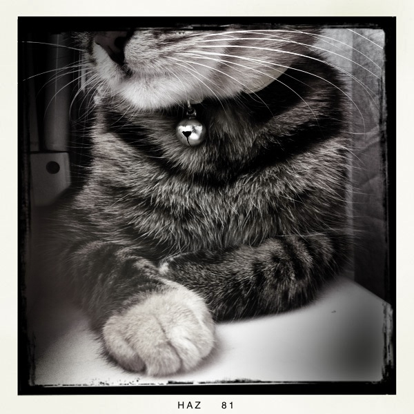 Hip 330691302.678090