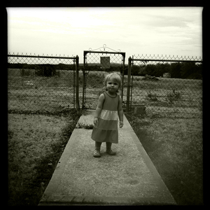 Hip 334886174.133831