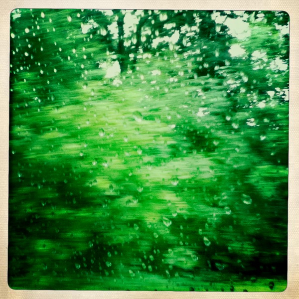 Hip 335129729.301363