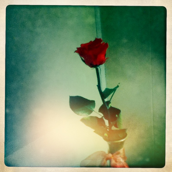 Hip 335136623.069432