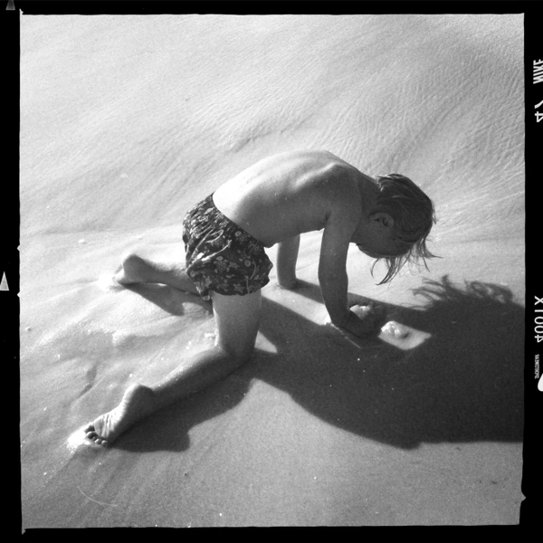 Hip 333756679.419825