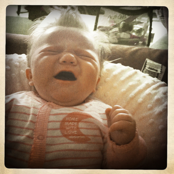 Hip 335044304.538299