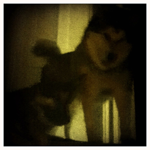 Hip 335136784.364659