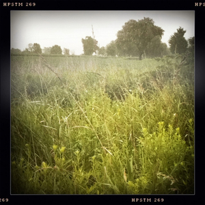 Hip 334082572.489821