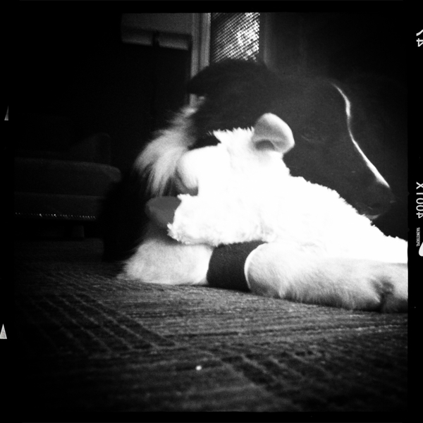 Hip 335138230.216555