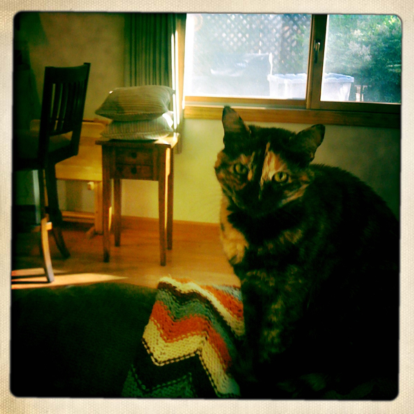 Hip 296234586.561948