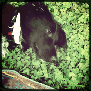 Hip 335021623.518382