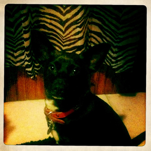 Hip 332903206.994994