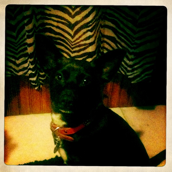 Hip 332903206.994994